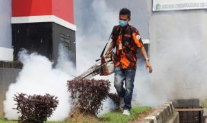 WhatsApp Image 2022-10-13 at 14.13.38