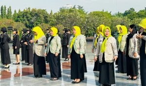 WhatsApp Image 2024-02-01 at 19.16.21_0693536e