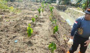 WhatsApp Image 2024-02-05 at 15.09.16