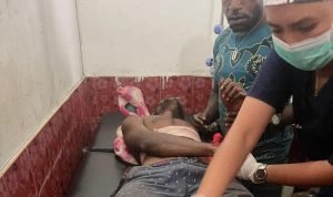 WhatsApp Image 2024-03-01 at 13.24.21_87aac1fc