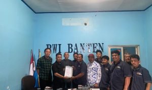 WhatsApp Image 2024-05-23 at 15.53.55_255e9ad5