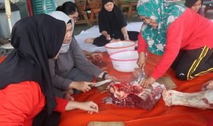 Gambar WhatsApp 2024-06-18 pukul 13.44.59_b9843f27