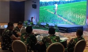 WhatsApp Image 2024-08-23 at 18.42.38