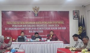 WhatsApp Image 2024-09-19 at 17.32.28