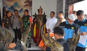 WhatsApp Image 2024-11-27 at 15.28.10 (3)