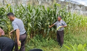 WhatsApp Image 2024-12-17 at 12.59.13