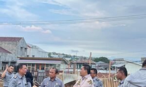 WhatsApp Image 2025-01-20 at 14.55.30 (1)