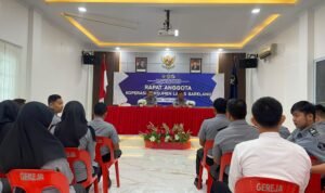 WhatsApp Image 2025-02-04 at 17.26.25 (1)