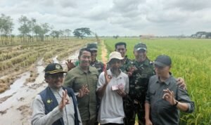 WhatsApp Image 2025-02-25 at 17.02.09 (1)