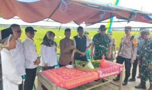 WhatsApp Image 2025-02-28 at 16.07.50 (1)