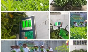 WhatsApp Image 2025-04-16 at 15.27.50