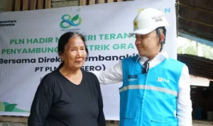 IMG-20251031-WA0000-3378233558