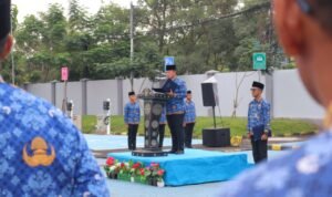 WhatsApp Image 2025-10-28 at 17.36.31