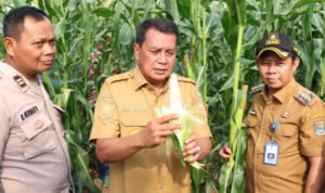 berita-fac72382-235d-4cd3-881e-cac3d0927748