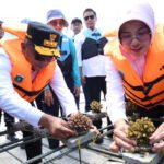 image_berita-1db733ef-7b3b-4744-bce6-947a8fa79365