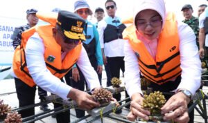 image_berita-1db733ef-7b3b-4744-bce6-947a8fa79365