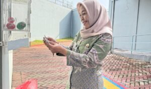 WhatsApp Image 2025-11-15 at 21.30.10 (1)