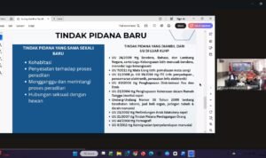 WhatsApp Image 2025-11-21 at 16.33.57