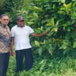 WhatsApp Image 2025-12-04 at 14.50.59