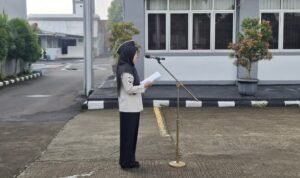 WhatsApp Image 2026-01-28 at 17.24.56 (1)