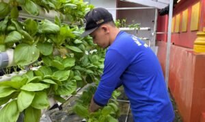 WhatsApp Image 2026-01-28 at 17.25.00