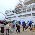 WhatsApp-Image-2026-02-13-at-163154-3246592466