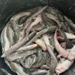 WhatsApp Image 2026-02-14 at 11.01.41