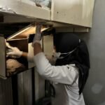 WhatsApp Image 2026-04-06 at 15.46.07 (2)