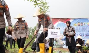 IMG-20260520-WA0150-800x445