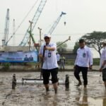 hari-jadi-ke-500-kabupaten-serang-dkpp-tanam-padi-500-hektare-dan-500-vaksinasi-hewan-ternak_1790821665
