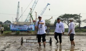 hari-jadi-ke-500-kabupaten-serang-dkpp-tanam-padi-500-hektare-dan-500-vaksinasi-hewan-ternak_1790821665